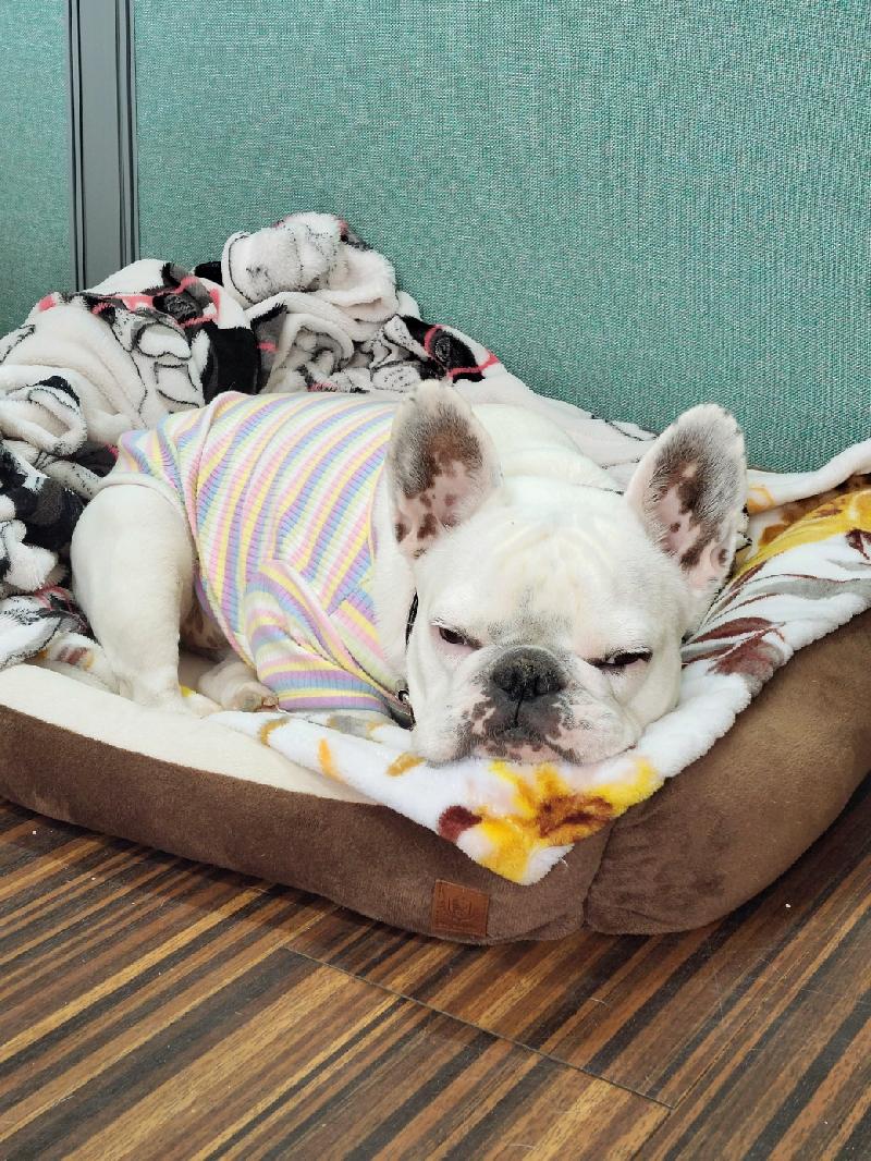 57d9b248335e0e9b5f4e61ad65a89db5_1762477057_0987.jpg 57d9b248335e0e9b5f4e61ad65a89db5_1762477057_0987.jpg